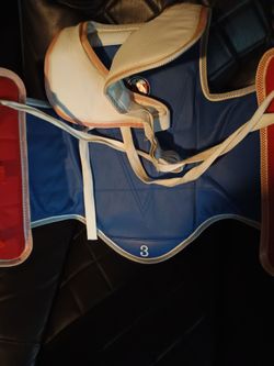 Mixed martial arts protective gear