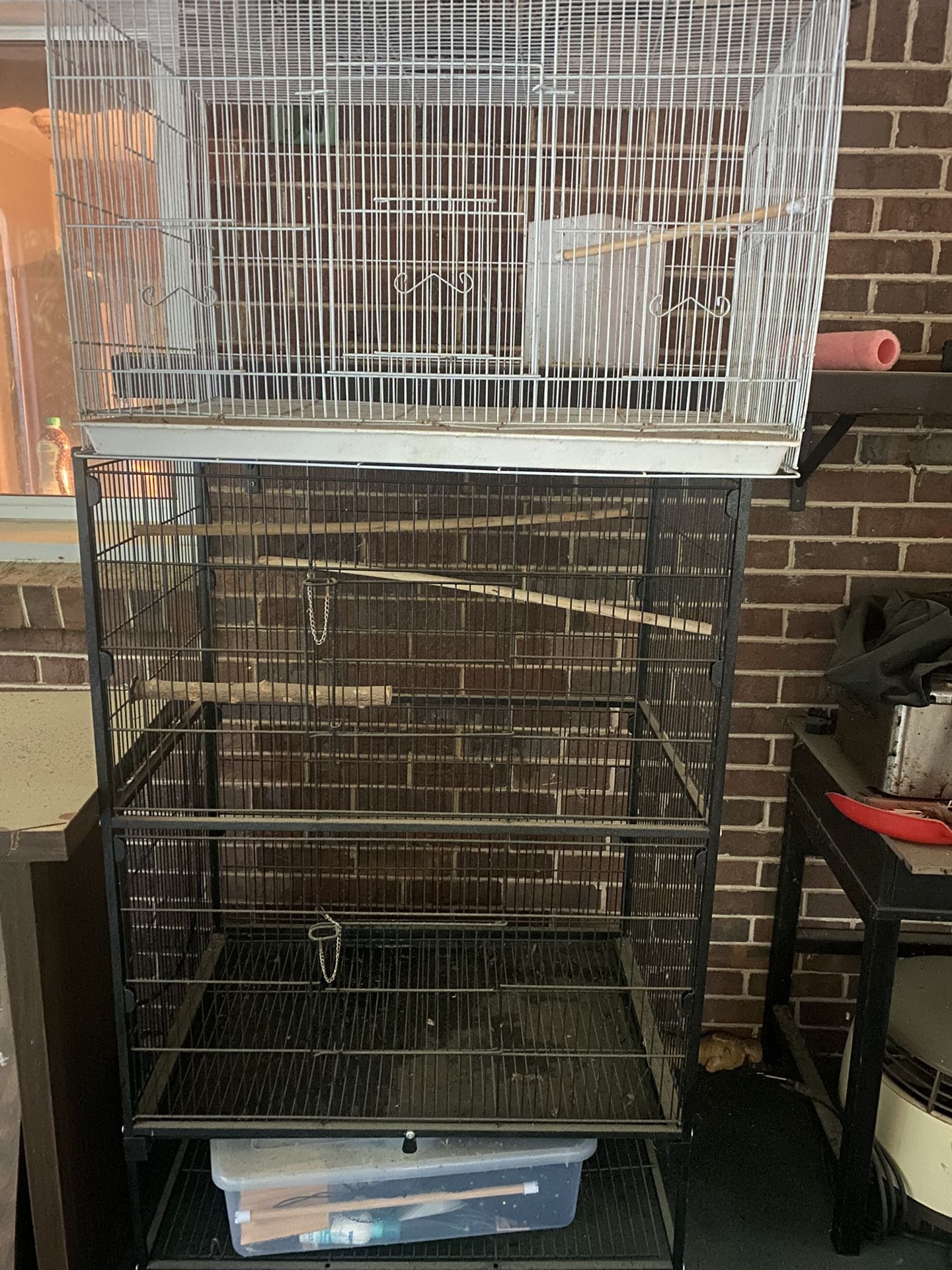 Bird Cages