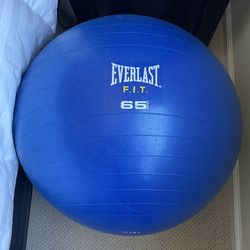 Everlast 65cm Fitness Ball