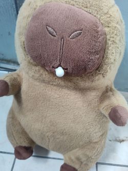 Capybara for sale