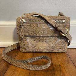 Beautiful Cole Haan Leather Crossbody 