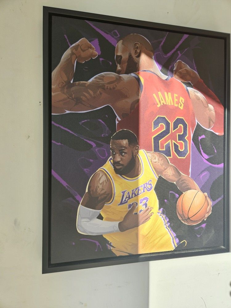 LeBron James Picture