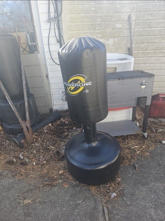 Price Is Firm.. Children's Free-standing Punching Bag