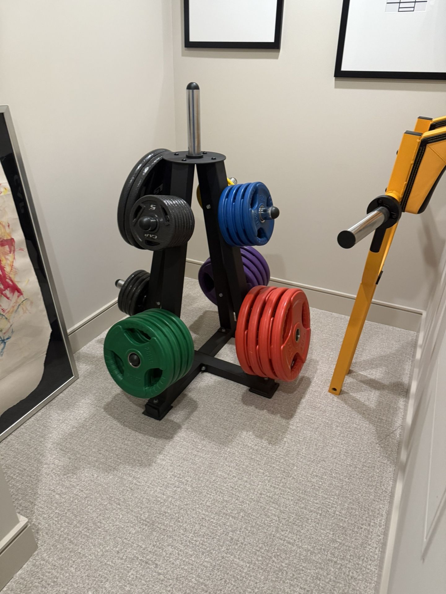 Assortment Of Gym Equipment Weights. All Sizes