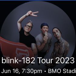 Blink-182 Concert 