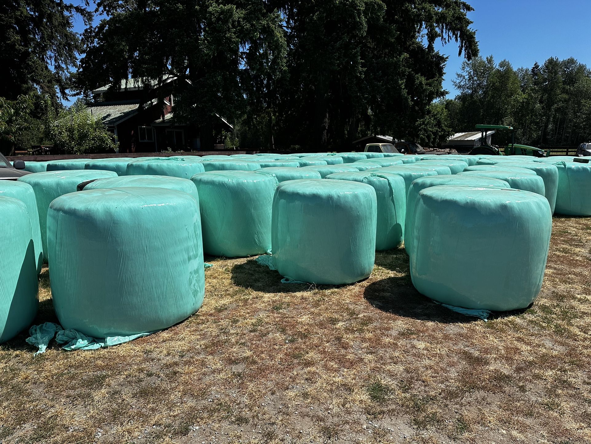 Haylage (Round Bale)
