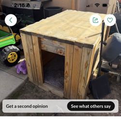 Dog House 
