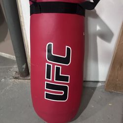 UFC Punching Bag 