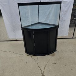 Aquarium with Stand