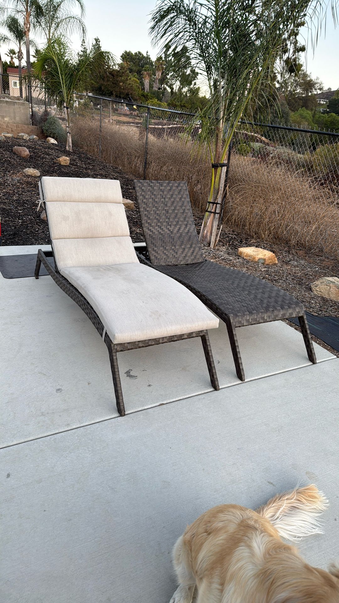 Outdoor Tanning Chairs