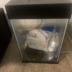 Fish Tank 