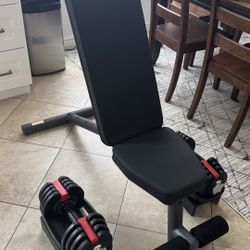 Gym Bench And 40 Lbs Adjustable Dumbbells Weight Set
