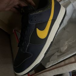 Nike Dunk DS