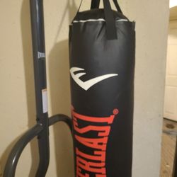 Everlast Boxing Stand And Bag W/ 12oz,16oz And Kid Gloves