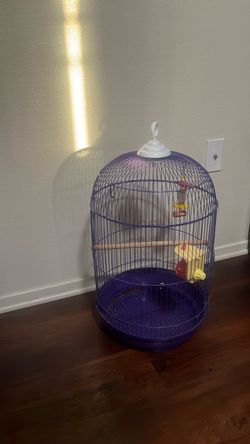 Bird cage