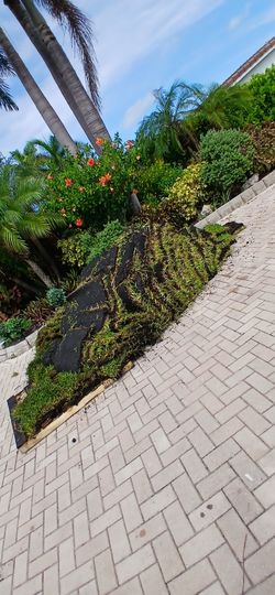 Free pile of sod