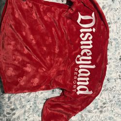 NEW With Tags Disneyland Spirit Jersey 