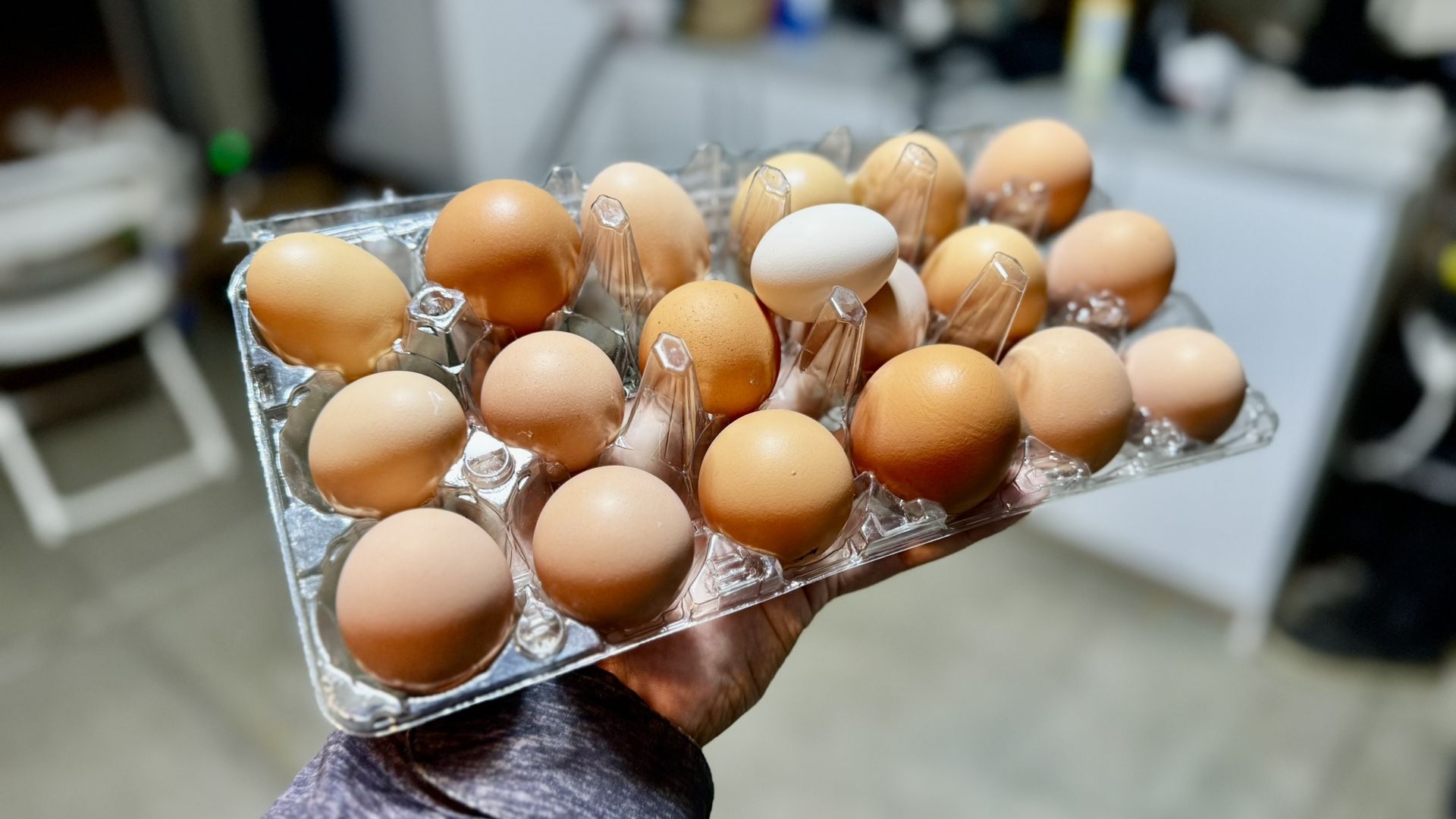 Local Farm Fresh Eggs • $5/dozen