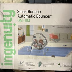 Baby Bouncer 