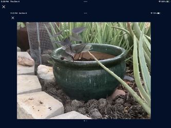 Very Large Flower Pot.   Gardening Accessories. Plant 