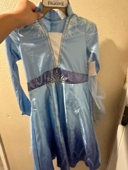 Disney Frozen II Elsa Girls Costume Dress Size Small 4-6