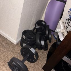 new weights and folder