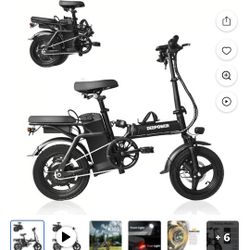 Folding Electric Bike 