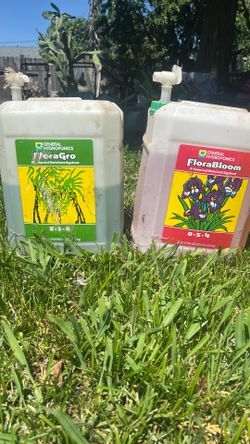 Plant formula