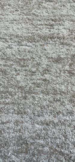 Modern Plush Area Rug – Light Gray/Cream – Excellent Condition (5*7)