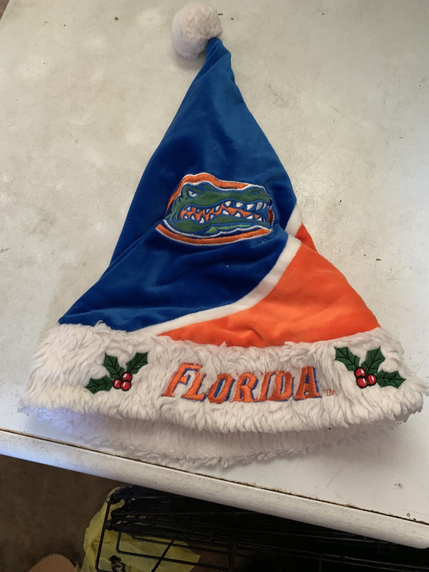 Florida Christmas Hat