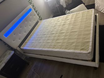 Alanta Tufted Upholstered Platform Bed Frame, LED Bed with Adjustable Headboard Wade Logan