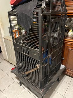 Big birdcage