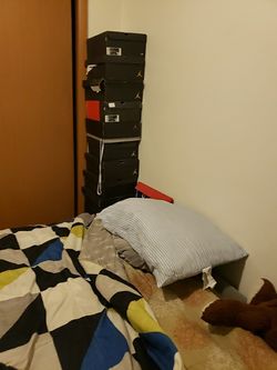 Jodans boxes shoot me and offer