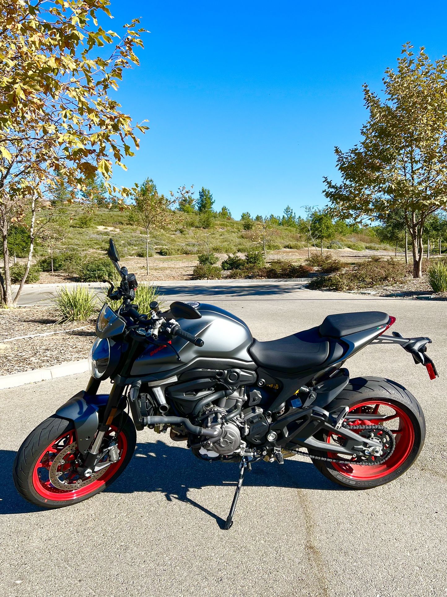 2023 Ducati Monster Aviator Gray