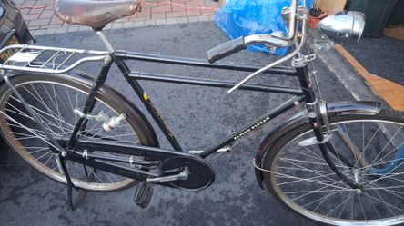 Original Flying Pigioen From China