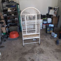 Bird Cage