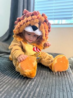 Lion costume