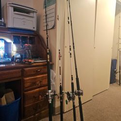 Ocean Fishing Rods