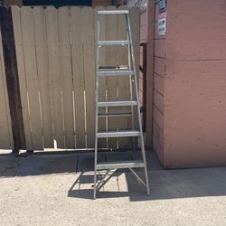 Ladder 🪜 6-foot