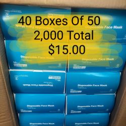 Face Mask - Dust Masks - Level 2 - 40 Boxes Of 50 Masks - 2000 Total 