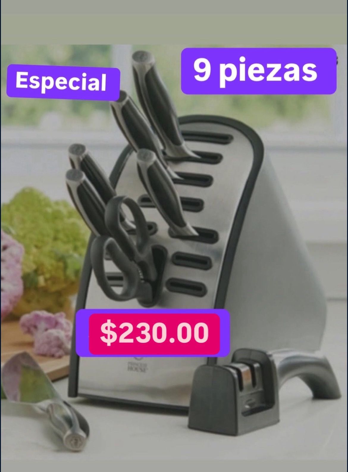 Especial Solo $230.00 Set De 9 Cuchillos Y Organizador Acero Inoxidable Princess House