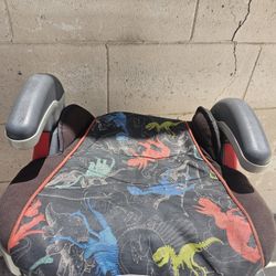 Free Car seat Booster