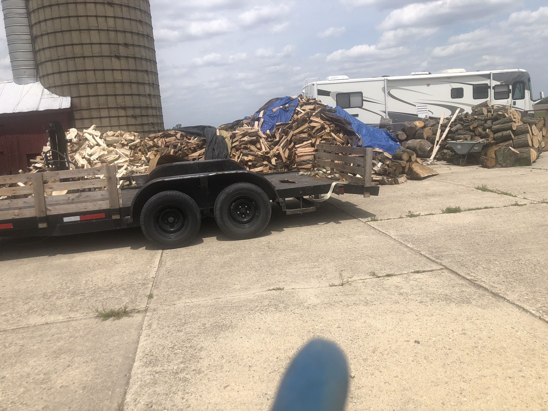 Firewood 