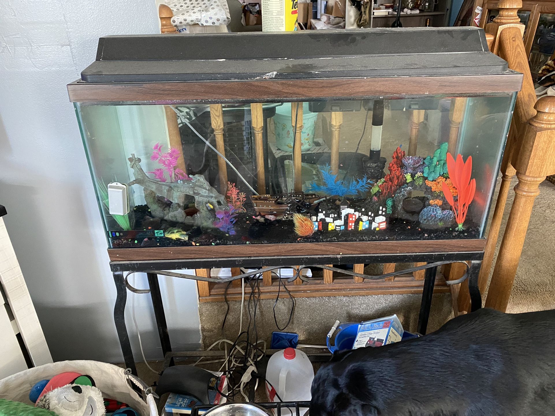 Fish Tanks