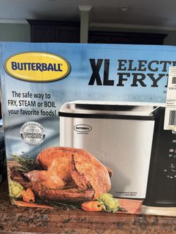 Electric Fryer