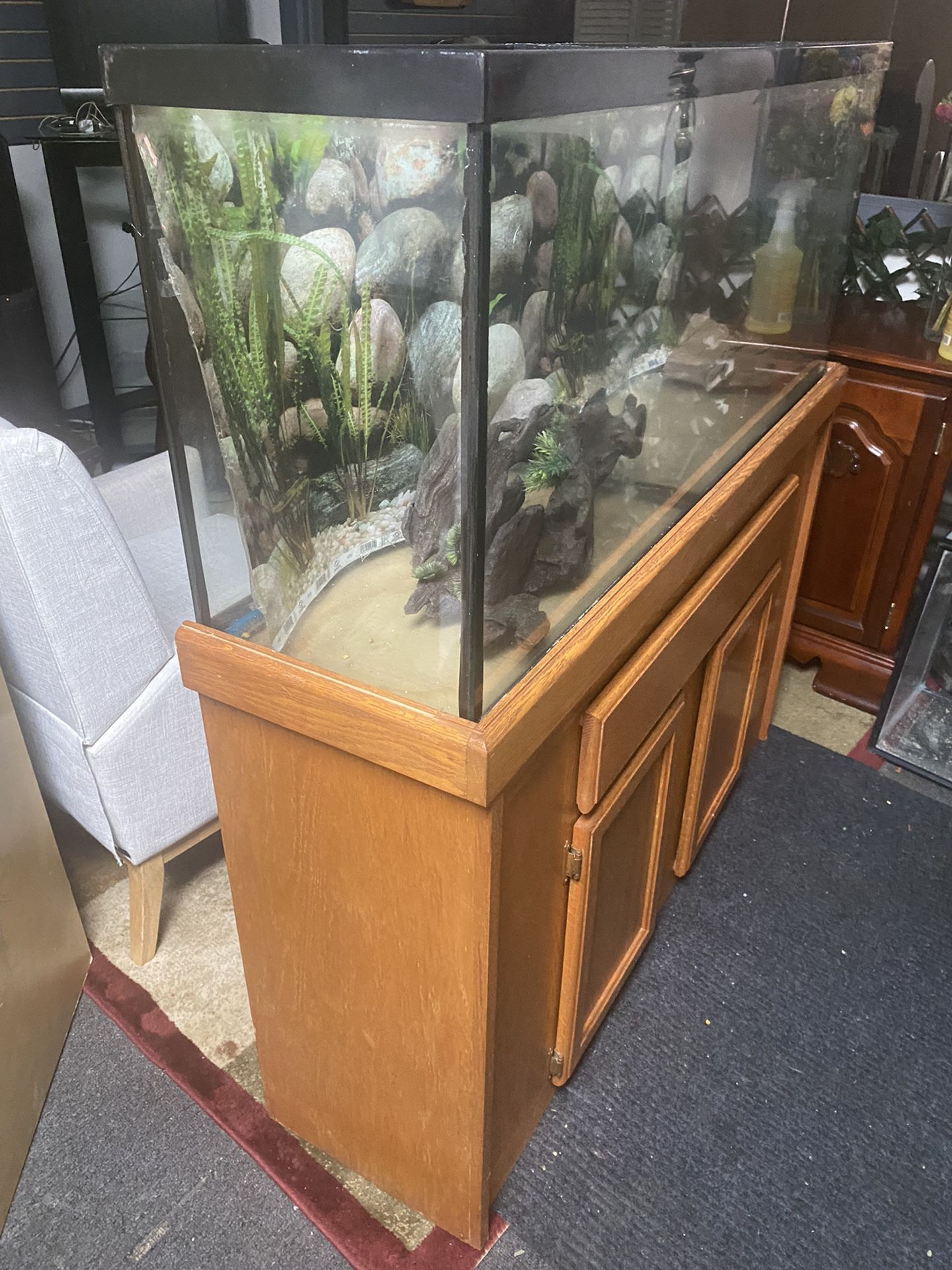 fish tank for reptiles 