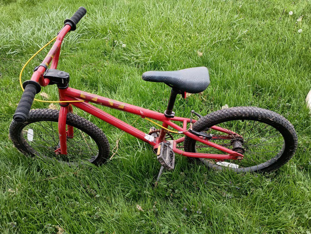 Kids Bike - 20"