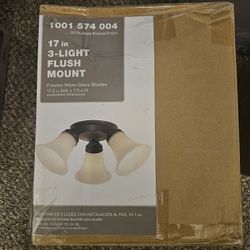 Lights 