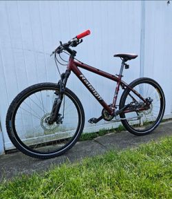 Raleigh Mountain Bike