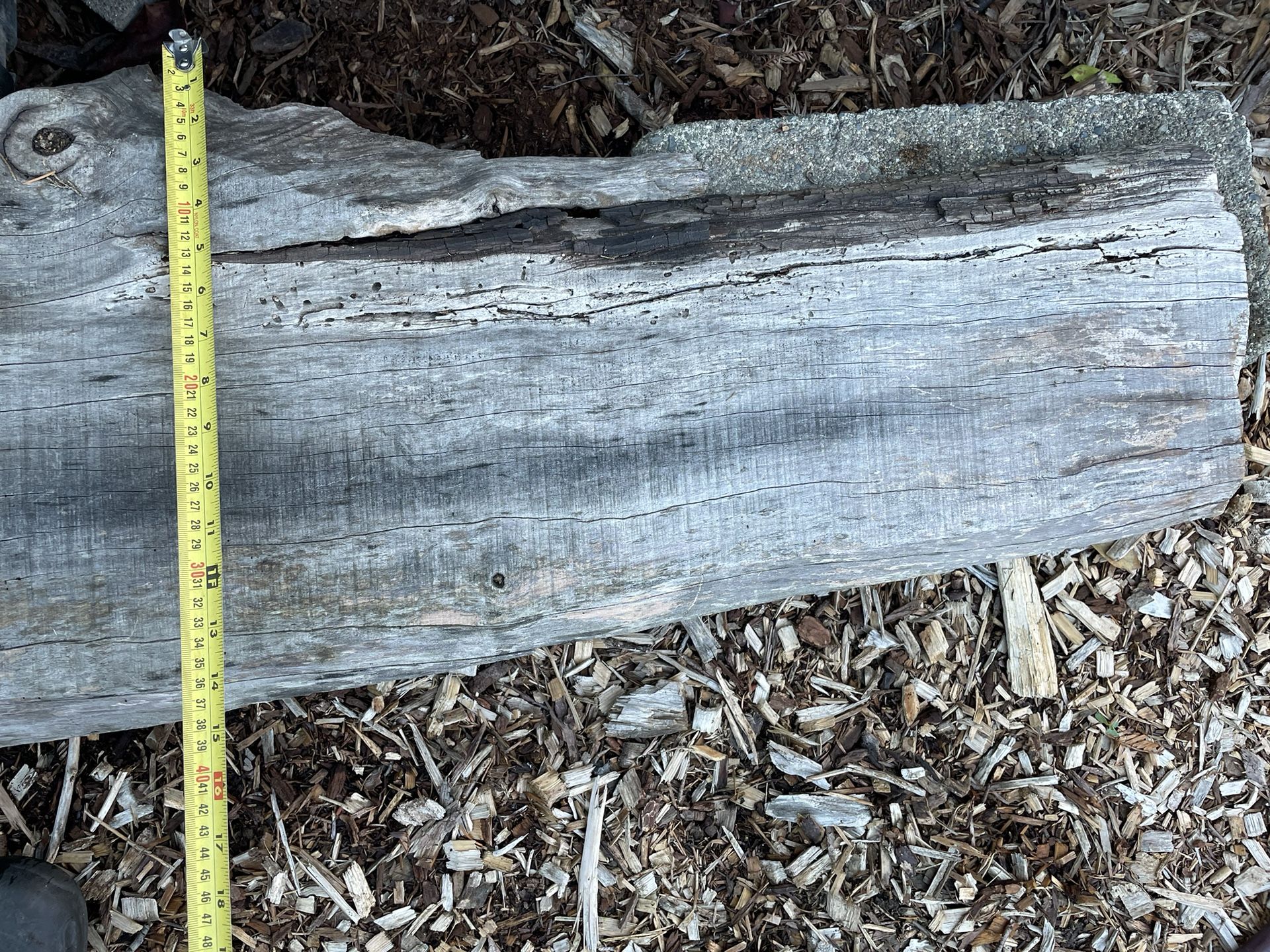 Untreated Cedar Plank (for Bench, etc) for Sale in Seattle, WA OfferUp